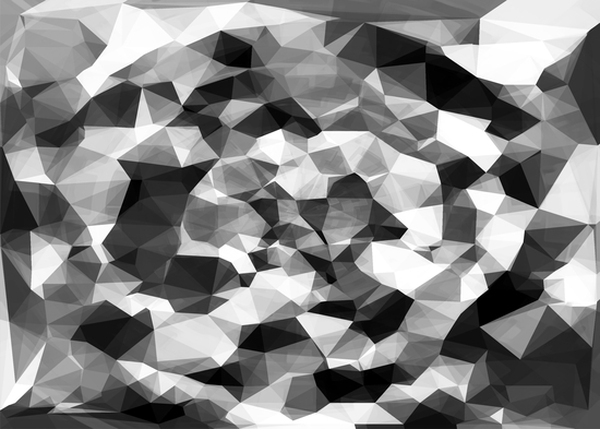 contemporary geometric polygon abstract pattern in black and white by Timmy333