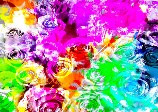 closeup rose texture pattern abstract background in pink blue yellow green red by Timmy333