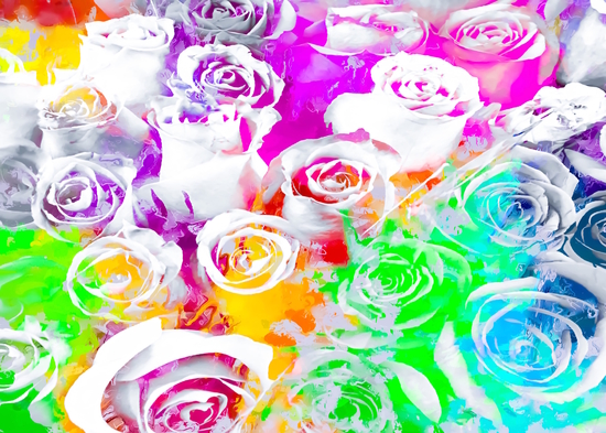 rose texture abstract  with colorful painting abstract background in pink blue green red yellow purple by Timmy333