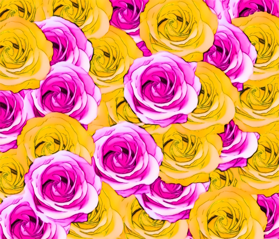 pink rose and yellow rose pattern abstract background by Timmy333