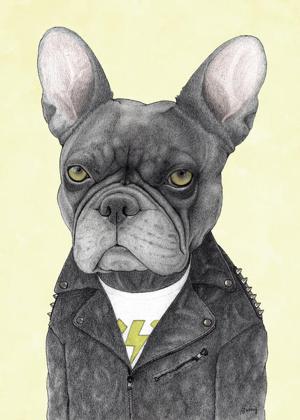 Hard Rock French Bulldog by Barruf