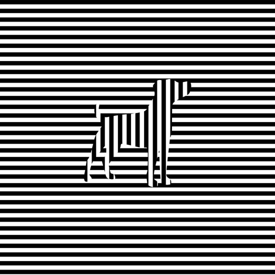 Dog on Stripes by Divotomezove