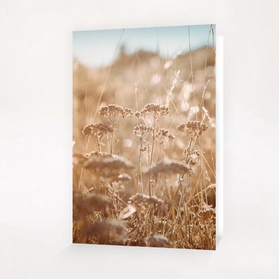 Field Greeting Card & Postcard by Salvatore Russolillo