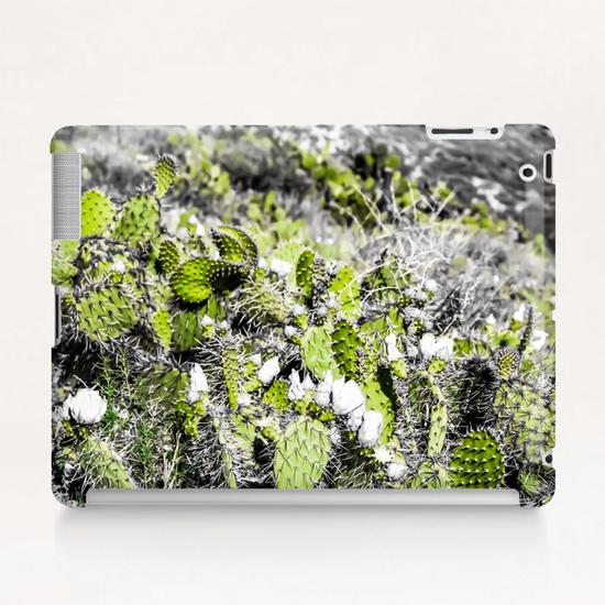 texture of the green cactus with white flower in the desert  Tablet Case by Timmy333