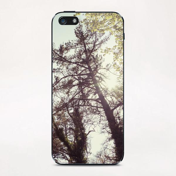 Trees iPhone & iPod Skin by Salvatore Russolillo