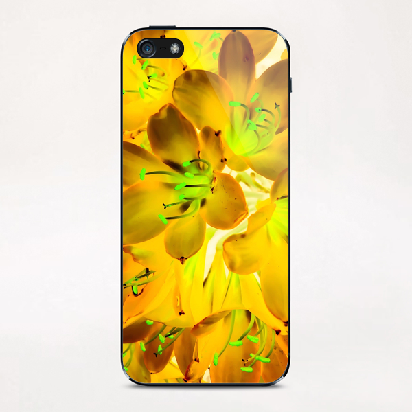 closeup yellow flower with green pollen background iPhone & iPod Skin by Timmy333