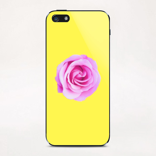 closeup pink rose with yellow background iPhone & iPod Skin by Timmy333