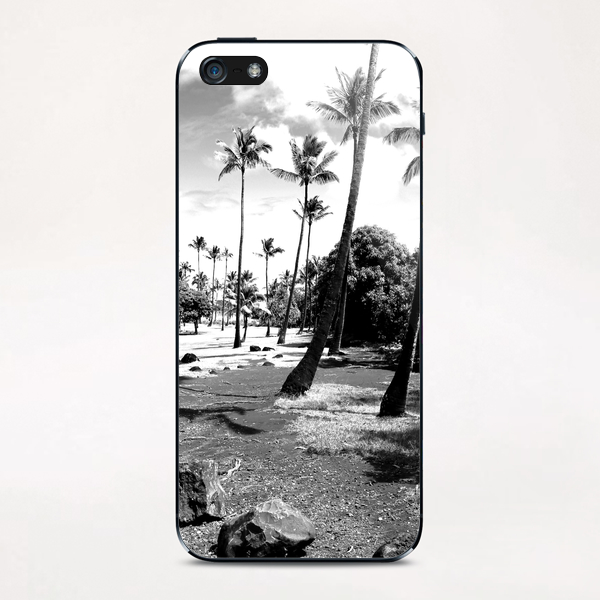 palm tree with cloudy sky in black and white iPhone & iPod Skin by Timmy333