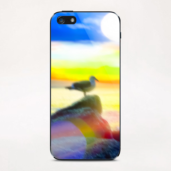 bird on the stone with the summer beach sunset background iPhone & iPod Skin by Timmy333