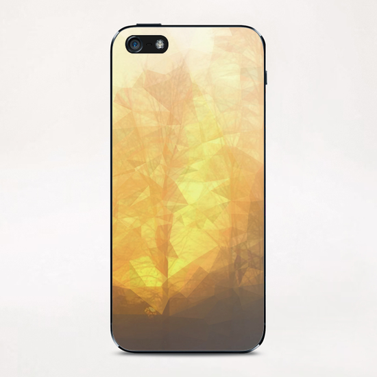 Forest in the sunrise iPhone & iPod Skin by Vic Storia