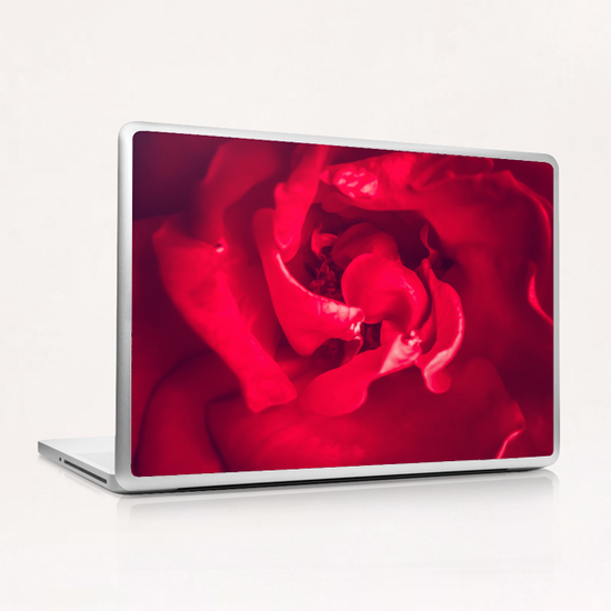 closeup red rose Laptop & iPad Skin by Timmy333