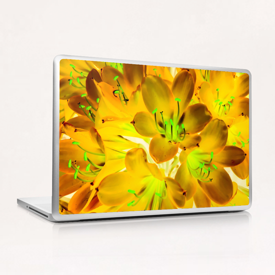 closeup yellow flower with green pollen background Laptop & iPad Skin by Timmy333