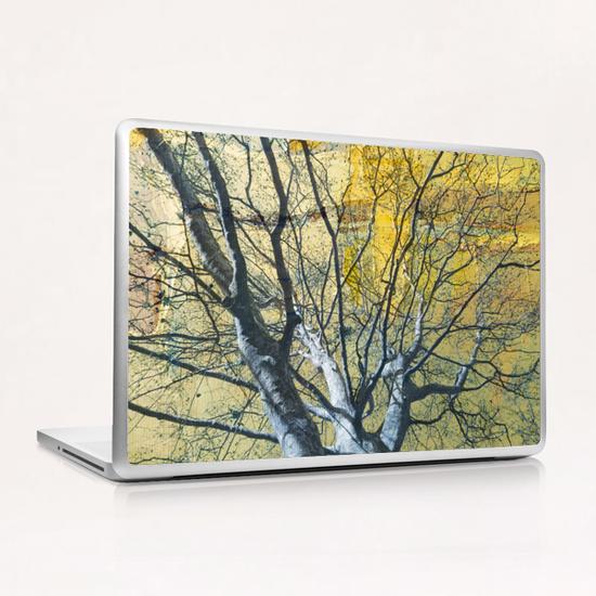 Platane majestueux Laptop & iPad Skin by Malixx