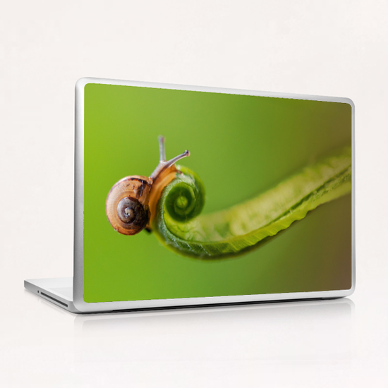 Snail on a curly grass Laptop & iPad Skin by Jarek Blaminsky