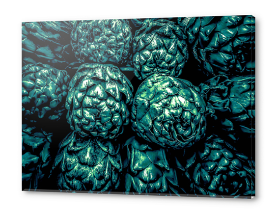 closeup green artichoke texture background Acrylic prints by Timmy333