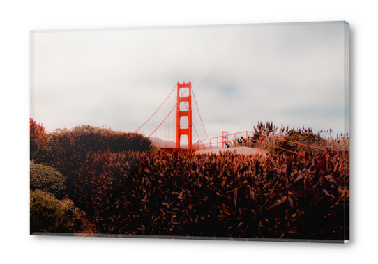 Golden Gate Bridge San francisco USA with cloudy sky Acrylic prints by Timmy333