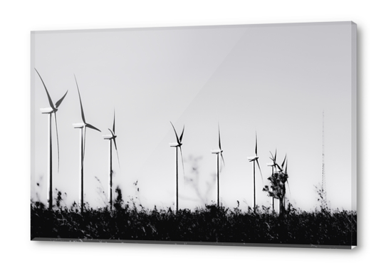 desert with wind turbine in black and white Acrylic prints by Timmy333