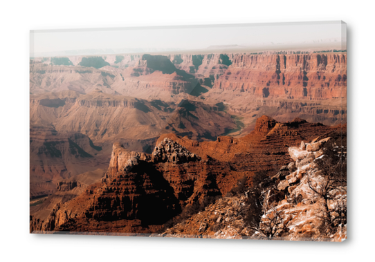 Summer view in the desert at Grand Canyon national park USA Acrylic prints by Timmy333