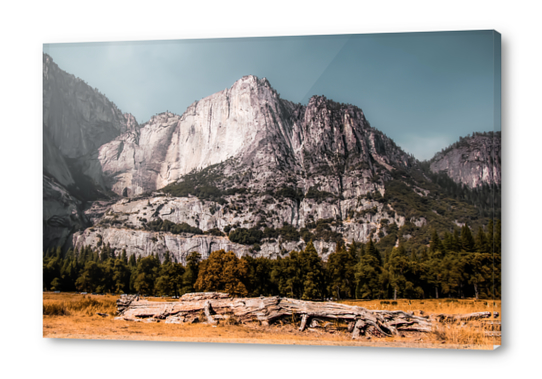 Mountains with blue sky at Yosemite national park California USA Acrylic prints by Timmy333