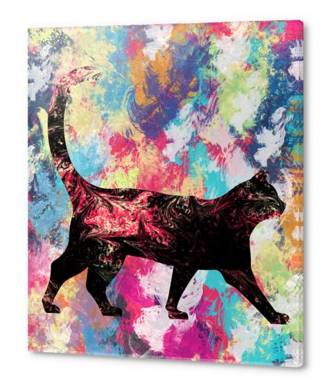 Abstract Cat Acrylic prints by Amir Faysal