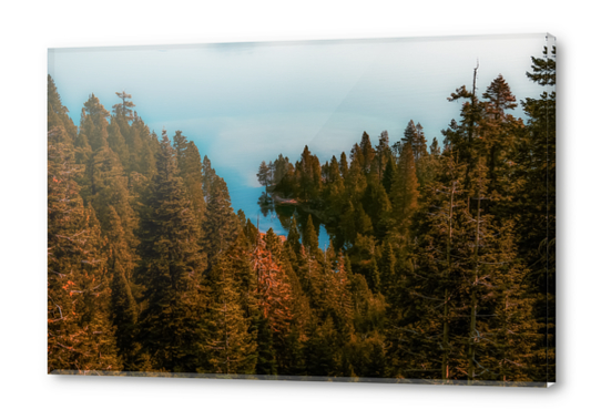 pine tree and lake at Emerald Bay Lake Tahoe California USA Acrylic prints by Timmy333