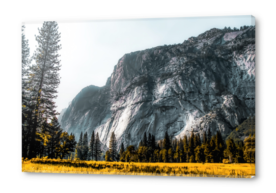 Mountains view at Yosemite national park, California, USA Acrylic prints by Timmy333