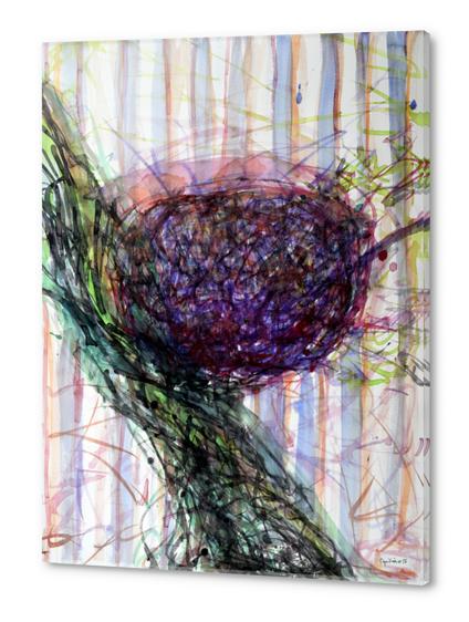 Splashy Fruit Acrylic prints by Heidi Capitaine