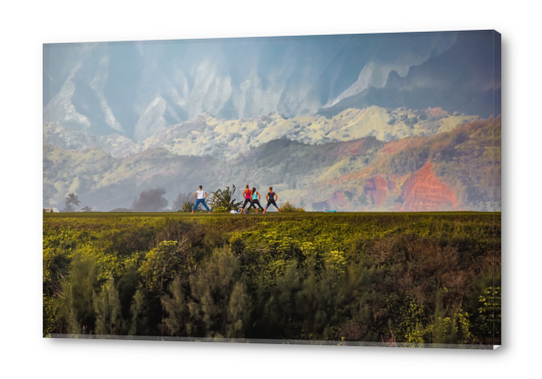 A group of people exercise on the mountain with beautiful view at Kauai, Hawaii Acrylic prints by Timmy333