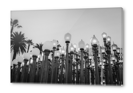 Urban Light at LACMA Los Angeles California USA in black and white Acrylic prints by Timmy333