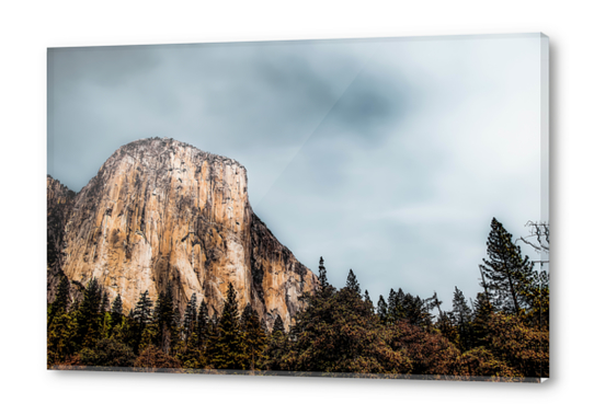 Mountains and pine tree with blue cloudy sky at Yosemite national park, California, USA Acrylic prints by Timmy333