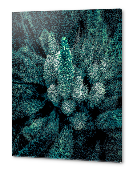 closeup green plant texture abstract background Acrylic prints by Timmy333