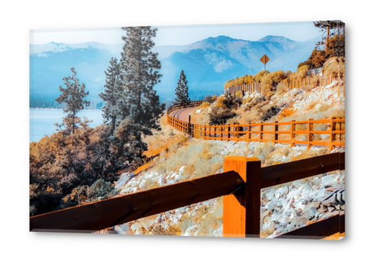 walkway with pine tree and mountains view at Lake Tahoe, Nevada, USA Acrylic prints by Timmy333