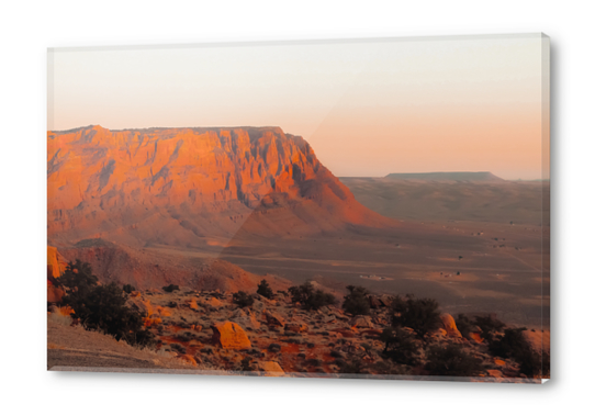 Summer desert with mountain view in Utah USA Acrylic prints by Timmy333