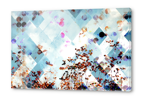 blooming wildflower with blue geometric pixel square pattern Acrylic prints by Timmy333