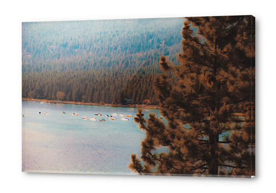 pine tree and boats on the water at Lake Tahoe Nevada USA Acrylic prints by Timmy333