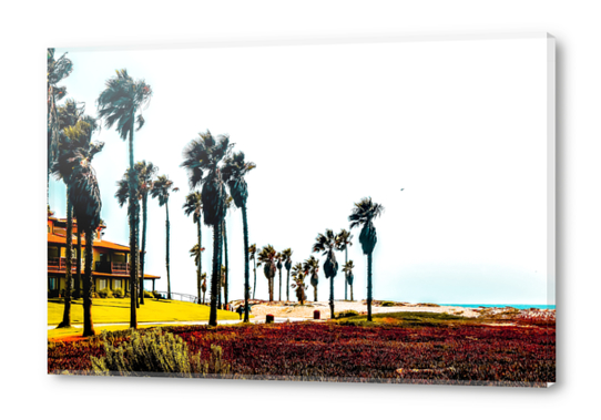 beach and palm tree at Oxnard Beach, California, USA Acrylic prints by Timmy333