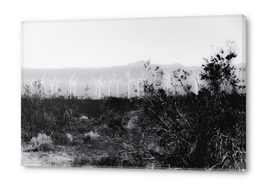 wind turbine with desert view in black and white Acrylic prints by Timmy333