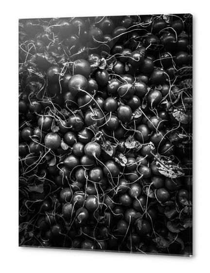 closeup fresh radish texture background in black and white Acrylic prints by Timmy333