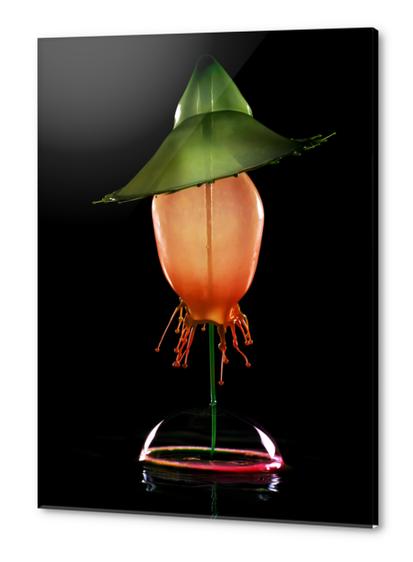 Green Hat Acrylic prints by Jarek Blaminsky