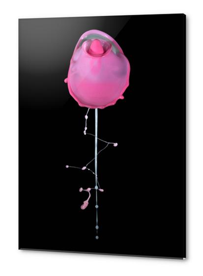 Pink Rose Acrylic prints by Jarek Blaminsky