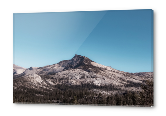 mountain and pine tree at Yosemite national park California USA Acrylic prints by Timmy333