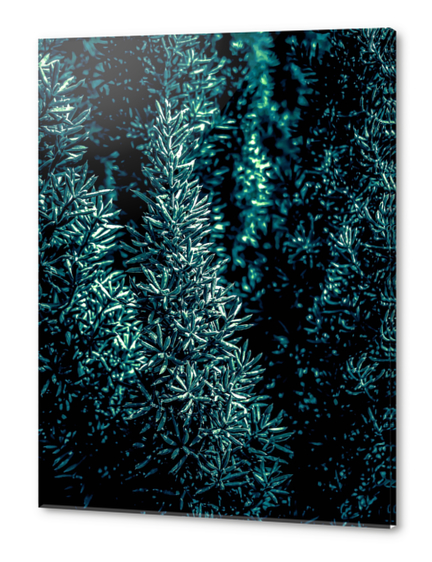 closeup green plant texture background Acrylic prints by Timmy333