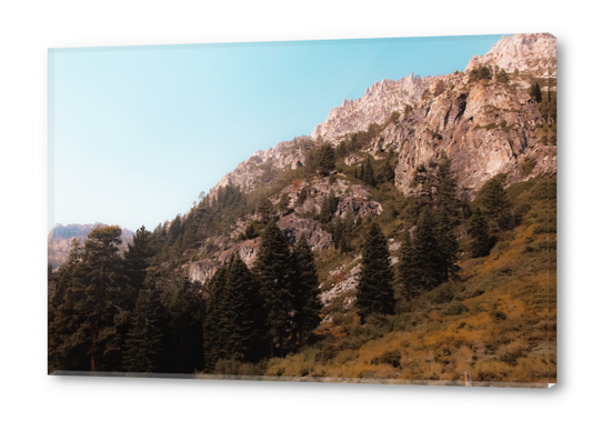 pine tree on the mountain at Lake Tahoe Emerald bay California USA Acrylic prints by Timmy333