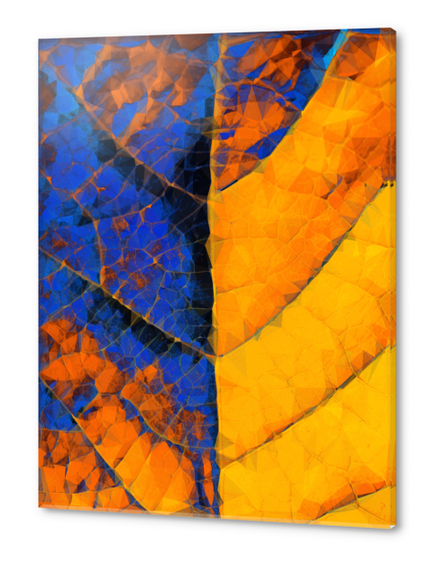 closeup leaf texture geometric triangle abstract pattern in blue orange yellow Acrylic prints by Timmy333