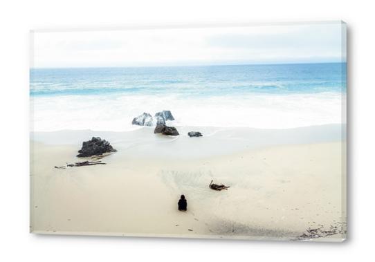 beach and sand with blue sky Acrylic prints by Timmy333