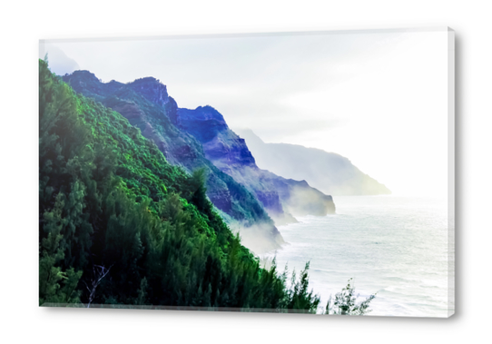 green mountain with ocean view at Kauai, Hawaii, USA Acrylic prints by Timmy333