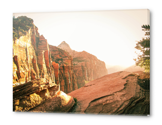 mountain at Zion national park, USA Acrylic prints by Timmy333