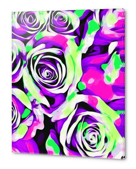 pink purple and green roses texture abstract background Acrylic prints by Timmy333