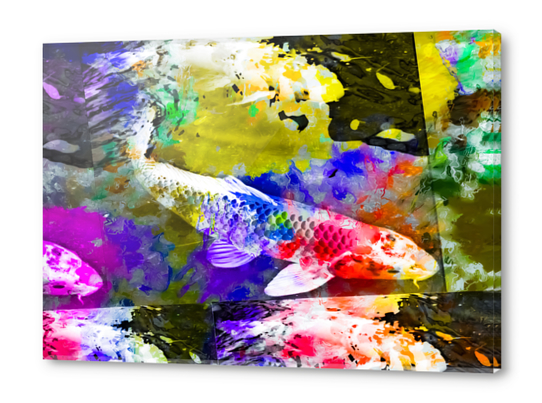 koi fish with painting texture abstract background in red blue yellow pink Acrylic prints by Timmy333