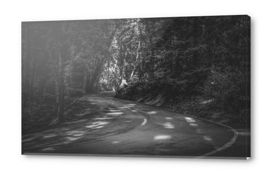 Road to nature on Highway 1, California, USA in black and white Acrylic prints by Timmy333